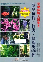 景观植物大图鉴  3  藤蔓植物·竹类·棕榈类626种  珍藏版