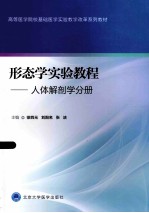 形态学实验教程  人体解剖学分册