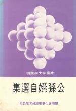 中国新文学丛刊  公孙嬿自选集