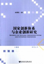 国家创新体系与企业创新研究