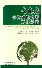 云南省生物质能资源及其发展