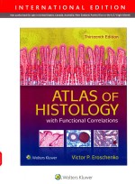 ATLAS OF HISTOLOGY WITH FUNCTIONAL CORRELATIONS THIRTEENTH EDITION