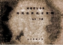 河南省宝丰县国民经济统计资料  1991年度