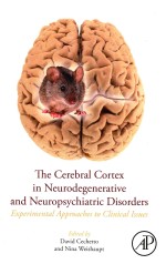 THE CEREBRAL CORTEX IN NEURODEGENERATIVE AND NEUROPSYCHIATRIC DISORDERS EXPERIMENTAL APPROACHES TO C