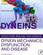 DYNEINS STURCTURE