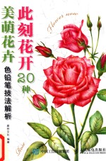 此刻花开  20种美萌花卉色铅笔技法解析