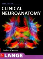 A LANGE MEDICAL BOOK CLINICAL NEUROANATOMY TWENTY-EIGHTH EDITION