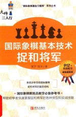 大师三人行  国际象棋基本技术  捉和将军