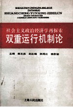 双重运行机制论  社会主义政治经济学再探索