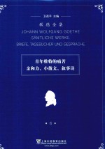 歌德全集  8  青年维特的痛苦、亲和力、小散文、叙事诗