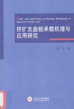 挤扩支盘桩承载机理与应用研究