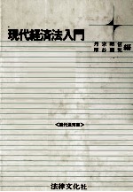 現代経済法入門《現代法双書》