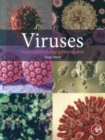 VIRUSES FROM UNDERSTANDING TO INVESTIGATION