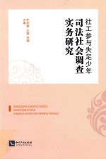 社工参与失足少年司法社会调查实务研究