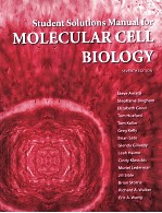 MOLECULAR CELL BIOLOGY SEVENTH EDITION