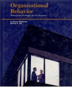 ORGANIZATIONAL BEHAVIOR MANAGERIAL STRATEGIES FOR PERFORMANCE