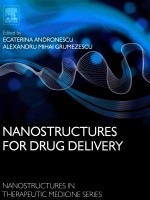 NANOSTRUCTURES FOR FRUG DELIVERY