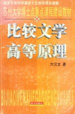 比较文学高等原理