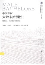 西安交通大学人口与发展研究所学术文库  中国农村大龄未婚男性  性现状、性风险和性安全