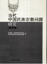 当代中国民族宗教问题研究  第6集