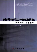 农村剩余劳动力外出就业风险  预警与公共政策选择