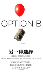 OPTIONB  另一种选择