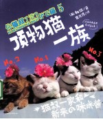 你猫叔了没？  5  顶物猫一族