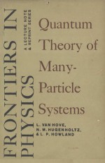 PROBLEMS IN QUANTUM THEORY OF MANY-PARTICLE SYSTEMS