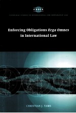 Enforcing Obligations Erga Omnes in International Law