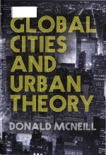 Global cities and urban theory