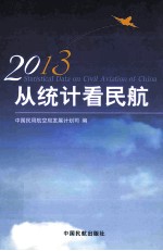 从统计看民航  2013