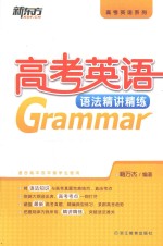 新东方大愚英语学习丛书高考英语系列  高考英语语法精讲精练