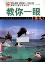 教你一眼看透海