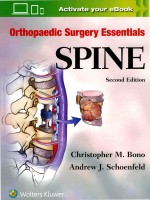 ORTHOPAEDIC SURGERY ESSENTIALS SPINE SECOND EDITION