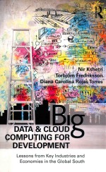 Big Data and Cloud Computing for Development: Lessons from Key Industries and Economies in the Globa