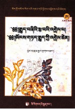 《四部医典》疑难注释、《四部医典》嘱咐详释  藏文