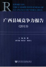 广西县域竞争力报告  2013