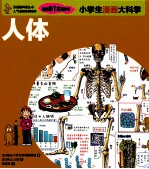 小学生漫画大科学  人体