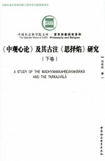 《中观心论》及其古注《思译焰》研究  下