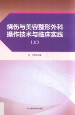 烧伤与美容整形外科操作技术与临床实践  上