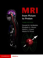 MRI FROM PICTURE TO PROTON THIRD EDITION