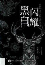 黑白闪耀  黑白创意装饰图案绘制宝典