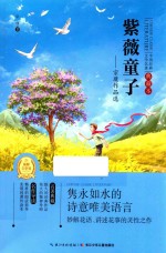 中国经典文学名著  宗璞作品选  紫薇童子  典藏本