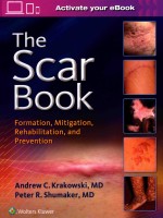 THE SCAR BOOK FORMATION