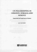 UN PEACEKEEPING IN LEBANON