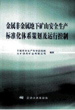 金属非金属地下矿山安全生产标准化体系策划及运行控制