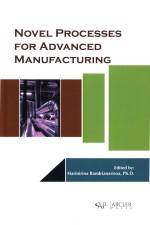 Novel Processes for Advanced Manufacturing