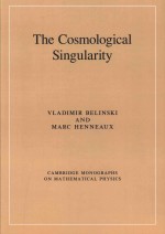 The Cosmological Singularity