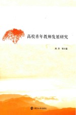 高校青年教师发展研究