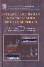 Infrared And Raman Spectroscopies Of Clay Minerals